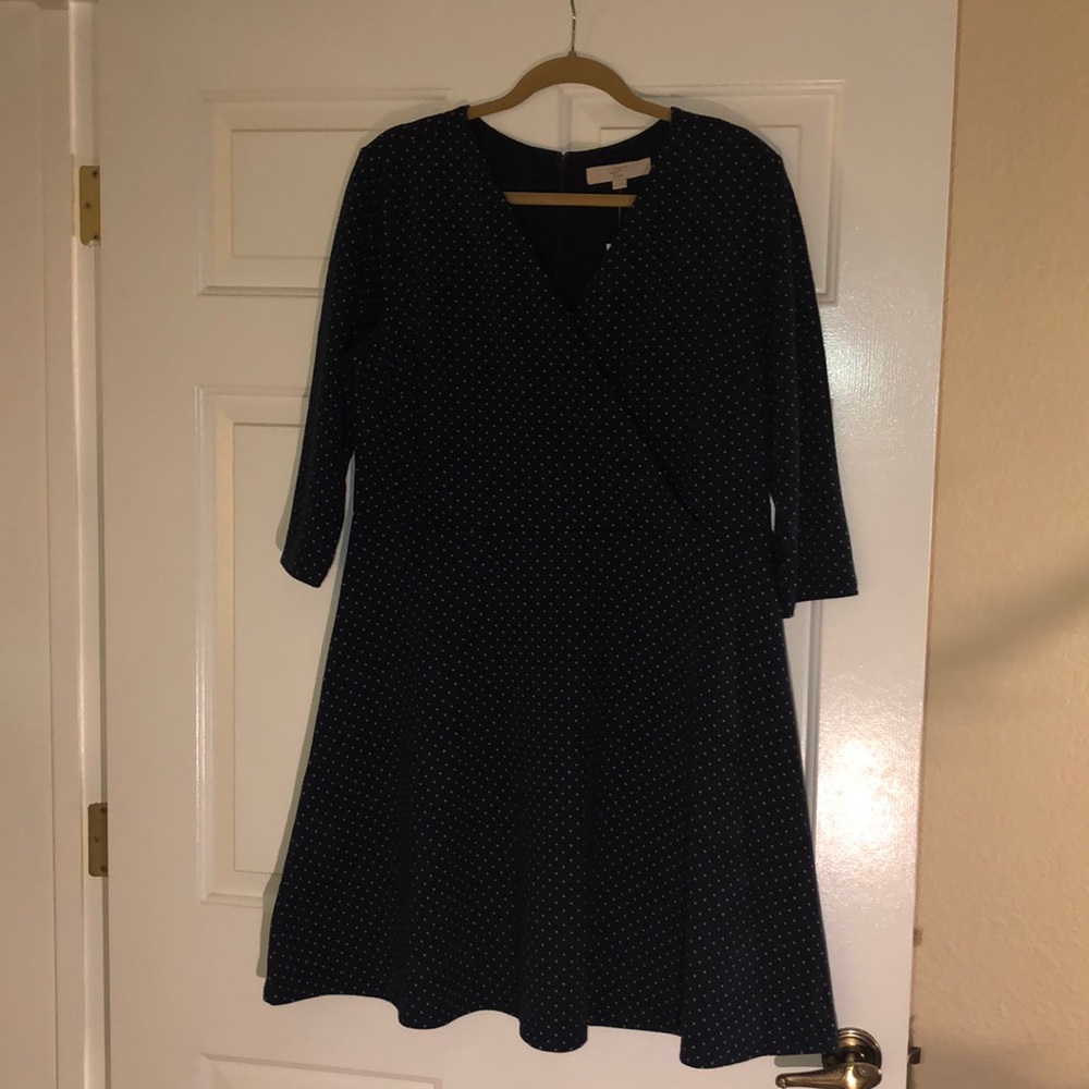 Ann Taylor Loft Plus Dress